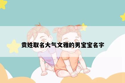 贲姓取名大气文雅的男宝宝名字