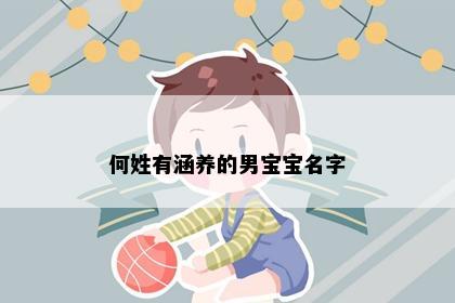 何姓有涵养的男宝宝名字